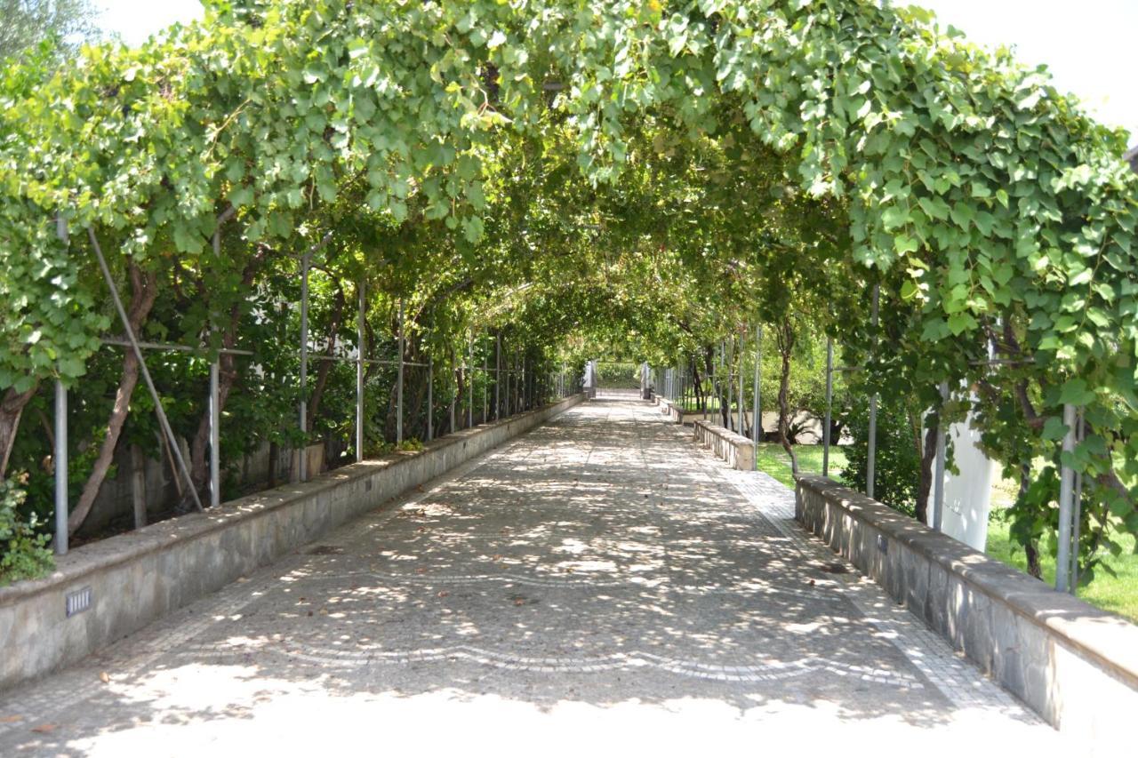 فيلا I Giardini Del Vesuvio سوما فيزوفيانا المظهر الخارجي الصورة