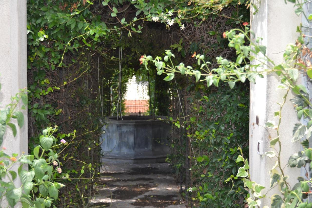 فيلا I Giardini Del Vesuvio سوما فيزوفيانا المظهر الخارجي الصورة